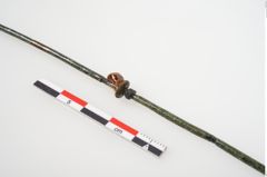 Foto von Bronzespinnrocken (NHMW-PRAE-025193)